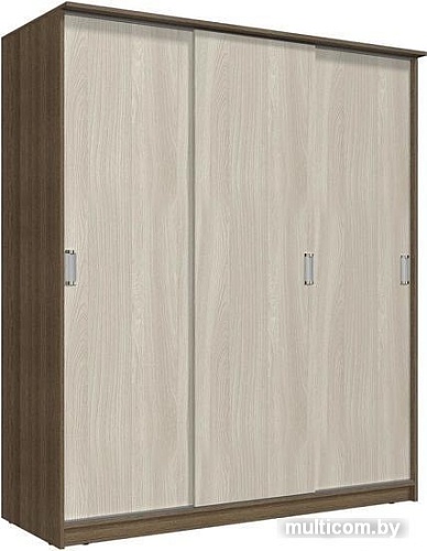Шкаф-купе Интерлиния Неаполь АН-012-20-00 БФ (ясень шимо светлый/ясень шимо темный)