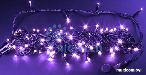 Гирлянда Rich Led Нить RL-S10C-24V-V 10м (фиолетовый)