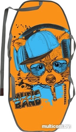 Санки-ледянка Тяни-Толкай ЛДМО-400 Music Band