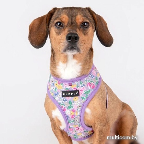 Шлейка-жилетка Puppia Lita-A PAWA-HA1959-PU-S (фиолетовый)