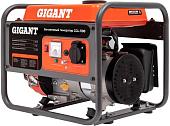 Бензиновый генератор Gigant GGL-1100