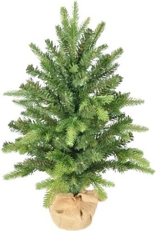 Ель GrandSiti Мила 0.6 м