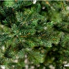 Ель Green Trees Брено Люкс 2.4 м