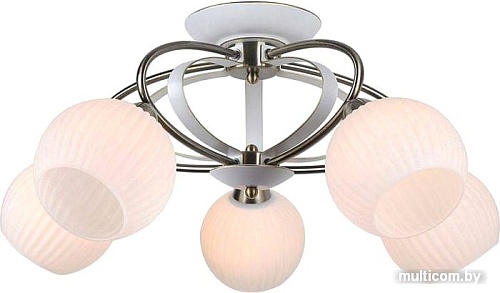 Люстра Lussole LGO LSP-0166