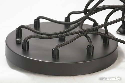 Припотолочная люстра Lussole LOFT GRLSP-9554