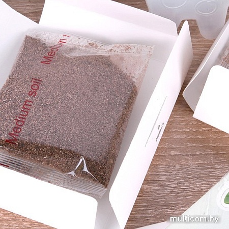 Набор для опытов Darvish 3D Сельский пейзаж DV-T-2178-3