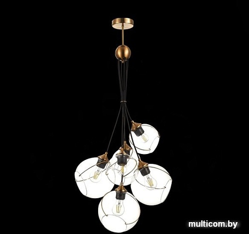 Подвесная люстра Evoluce Satturo SLE103103-06
