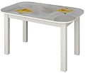 Кухонный стол Senira P-02.06/01-7194 (белый)