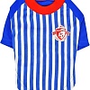 Футболка Puppia Striker PATA-TS1738-RB-M (голубой)