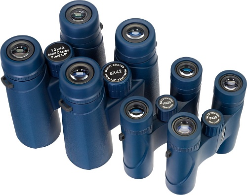 Бинокль Levenhuk Discovery Elbrus 8x25 79578