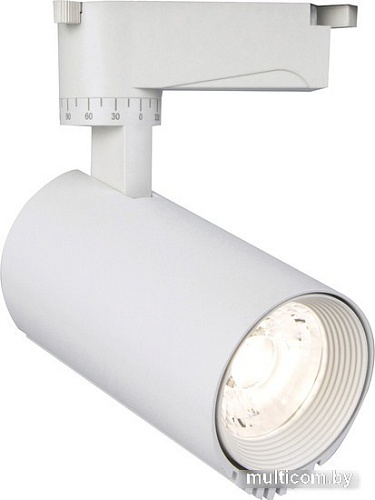 Трековый светильник Escada 20031TRA/03LED (белый матовый)