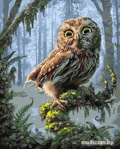 Картина по номерам Kolibriki Совенок на ветке VA-0179