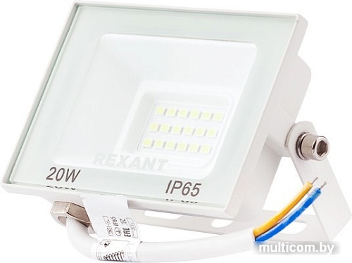 Уличный прожектор Rexant 605-024