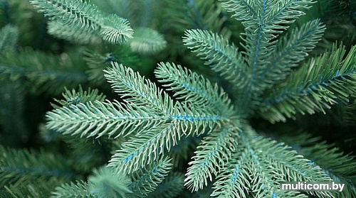 Ель Green Trees Валерио премиум 2.1 м