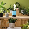 Увлажнитель воздуха Neoclima Vision LED 2.5L black