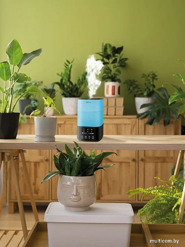 Увлажнитель воздуха Neoclima Vision LED 2.5L black