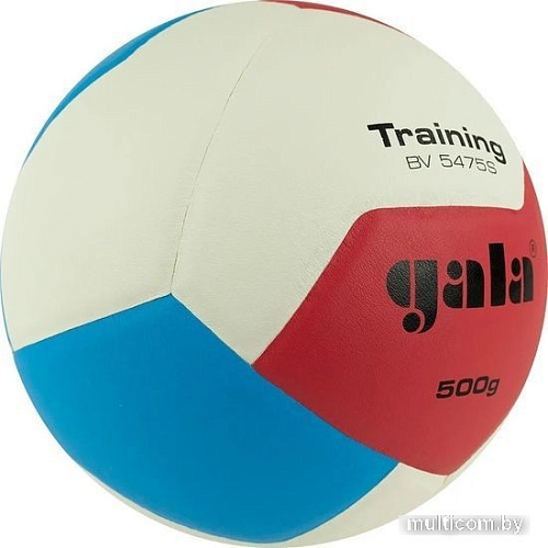Волейбольный мяч Gala Training Heavy 12 BV 5475 S (размер 5, белый/синий)