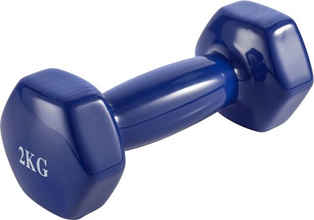 Гантель VictoryFit VF-DV020 2 кг