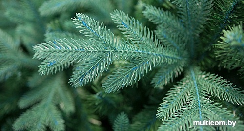 Ель Green Trees Валерио премиум 1.5 м