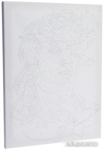 Картина по номерам Школа талантов Давид 9295620