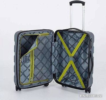 Чемодан-спиннер Francesco Molinary 336-161426/3-20 (серый)