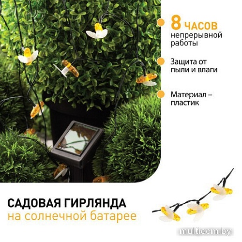 Разветвитель для гирлянд ЭРА ERAPS-K800