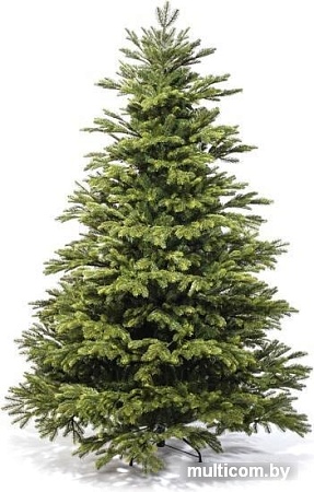 Ель Царь Елка Байкальская 2.1 м