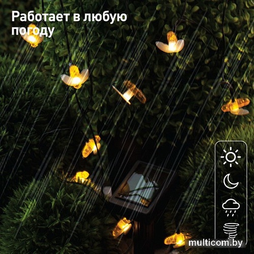 Разветвитель для гирлянд ЭРА ERAPS-K800