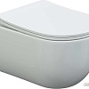 Унитаз Berges Wasserhaus Ventas Rimless 043239 (с сиденьем)