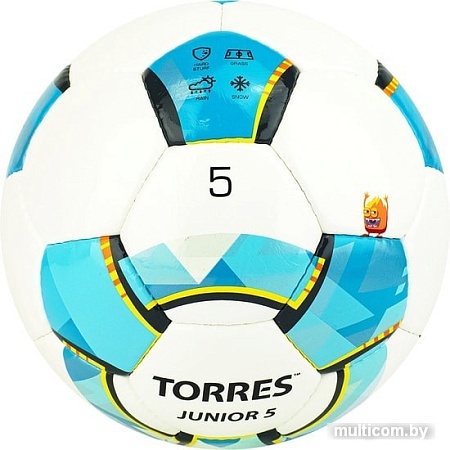 Мяч Torres Junior-5 F320225 (5 размер)