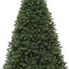 Ель Царь Елка Русская красавица 1.5 м