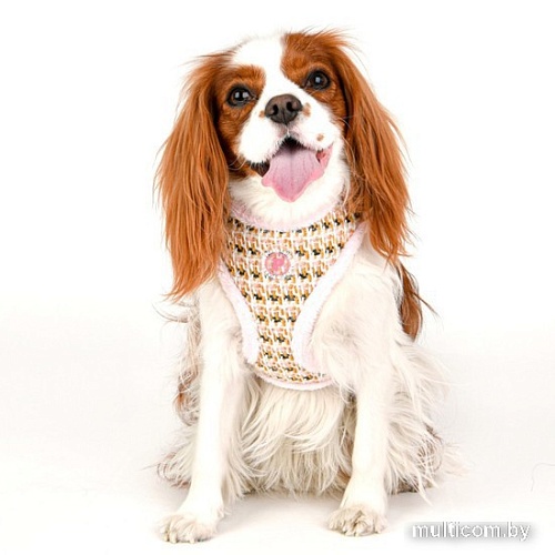 Шлейка Pinkaholic Lucia NAVD-HA7670-IP-S (розовый)