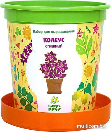 Набор для опытов Happy plant Колеус огненный hpn-1
