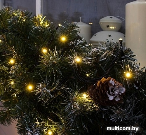 Гирлянда Luazon Нить уличная (теплый белый) 3584091