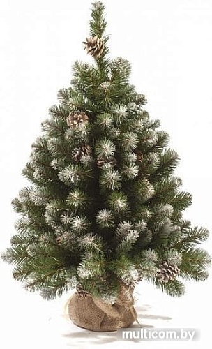 Ель Царь Елка Императорская заснеженная 0.9 м