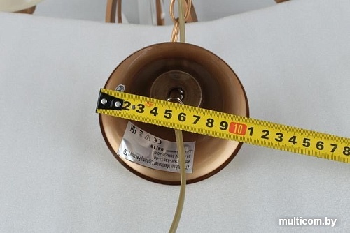 Подвесная люстра Omnilux OML-63813-08