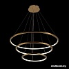 Подвесная люстра LOFT IT Ring 10015/3