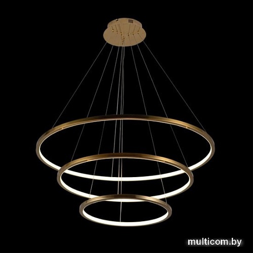 Подвесная люстра LOFT IT Ring 10015/3