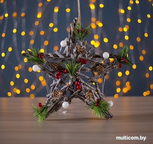 3D-фигура Luazon Звезда из веток 3667616