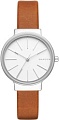 Наручные часы Skagen SKW2479
