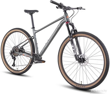 Велосипед Hagen 1.9 L 2025 (пасмурный серый)