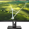 Монитор Philips 242B1G/00
