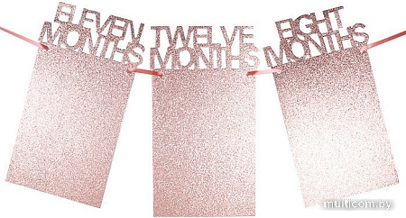 Гирлянда праздничная Darvish 12 месяцев DV-H-1390