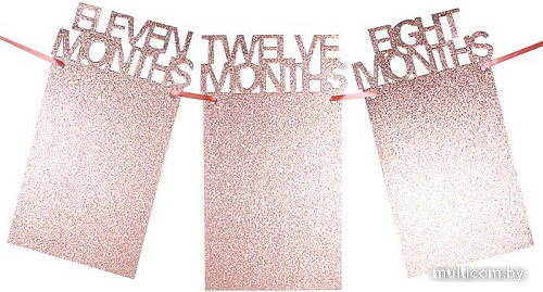 Гирлянда праздничная Darvish 12 месяцев DV-H-1390