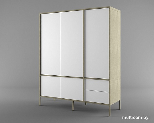 Шкаф распашной Молодечномебель Хитроу В2D5 ВМФ-1665 (серый агат/БА)