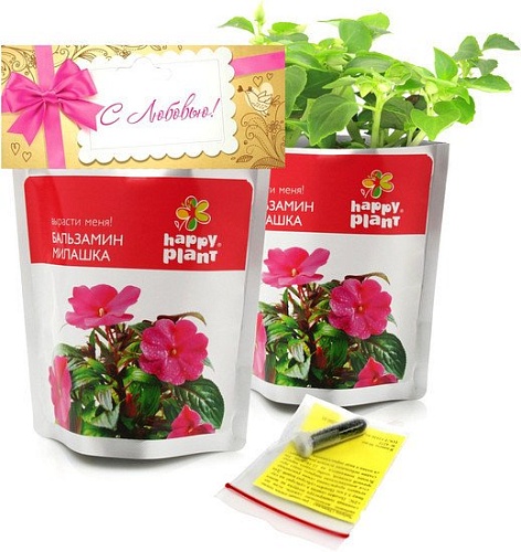 Набор для опытов Happy plant Бальзамин милашка hpn-31