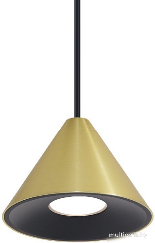 Подвесная люстра Wolta WSL-GU10/P08G