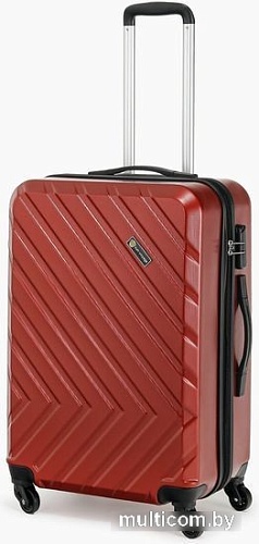 Чемодан-спиннер Sun Voyage SV031-АF074-24 67 см (серый)