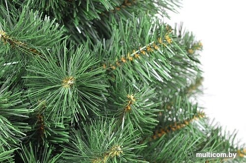 Ель Царь Елка Клеопатра 1.5 м