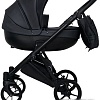 Универсальная коляска Ray Victoria (2 в 1, 17)